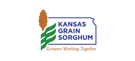 KS Sorghum