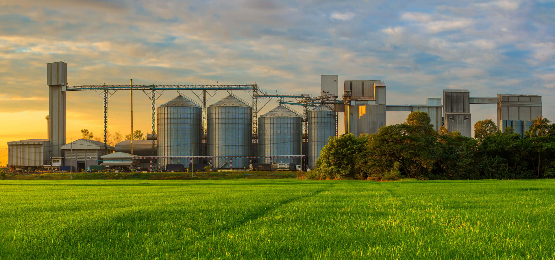 green field leading up to silos