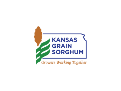 KS Sorghum